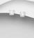 Hopeanapit, PREMIUM COLLECTION|Basic CZ Crystal Earstuds