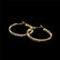 Korvarenkaat, FRENCH RIVIERA|Modern Gold Hoops with Cubic Zirconia