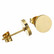 Kirurginteräsnapit, Classic Flat Steel Earstuds in Gold -teräsnapit