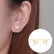 Kirurginteräsnapit, Steel Dinosaur Earstuds in Gold -dinosaurusnapit