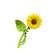 Hiussolki|SUGAR SUGAR, Sunflower Clip -auringonkukka hainhammas