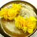Korvakorut, FRENCH RIVIERA|Jasmine -kukkakorvakorut (keltainen)