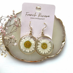 FRENCH RIVIERA|Real Daisy -päivänkakkara korvakorut
