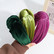 SUGAR SUGAR®, Leona Hairband -samettinen violetti hiuspanta