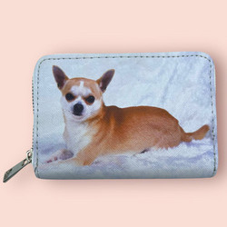Lasten lompakko, Chihuahua