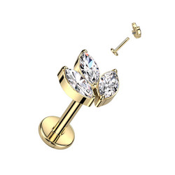 Rustokoru/traguskoru, Marquise Leaf in Gold -titaaninen labret