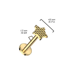 Rustokoru/traguskoru, Diamond Cut Star in Gold -titaaninen labret