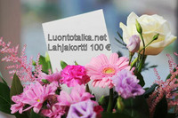 Lahjakortti 100 euroa Luontotaika.net