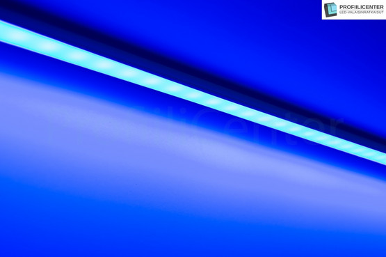 LED-nauha 5m (9.6 W/m) sininen, 24V IP65