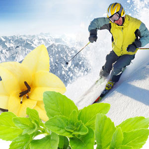 Alpine Snowdrift -tuoksuöljy 10 ml