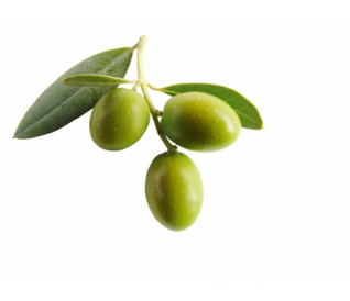 OliveM 1000, 50 g