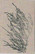 Lehtonen, Joel: Valitut teokset. 1, Putkinotkon herra : kirjeet Sylvia Avellanille 1907-1920