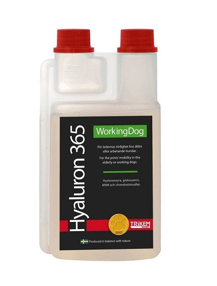 Hyaluron 365, 500ml