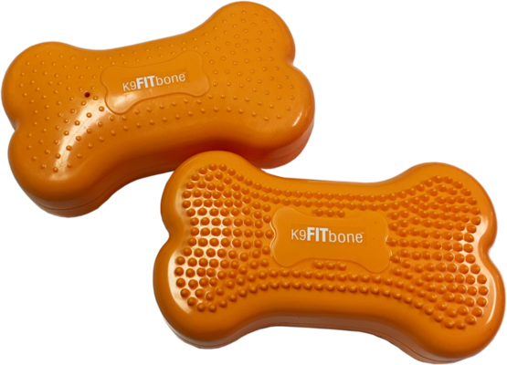 FitPAWS® Mini K9FITbones