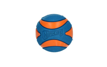 Chuckit Ultra Squeaker Ball