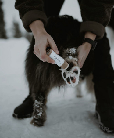 WAP:4 : Paw Pin - tassuvoide puikko 30ml
