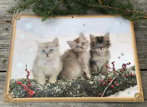 Suloinen joulukalenteri, kuvakalenteri: Kissanpennut lumessa