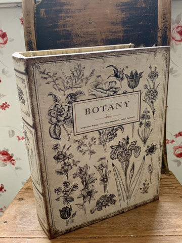 Botany viinipakkausboksi, laatikko hanapakkausviinille