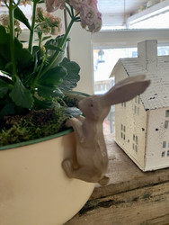 Ruukun reunassa roikkuva pupu, pääsiäinen, Chic Antique