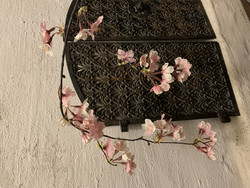 Aidon näköinen, riippuva kirsikkankukkaoksa