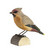 DecoBird, puinen koristelintu Tilhi (Bohemian Waxwing) Wildlife Garden