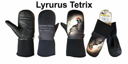 LYRURUS TETRIX-BLACK GROUSE-TEERI KINNAS