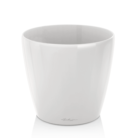 Classico Premium 50cm