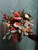 Bouquet colorful