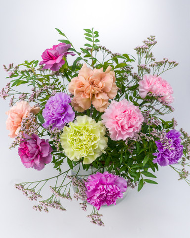 Happy Carnations