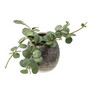 Wall pot brown