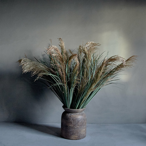 Pampas hay