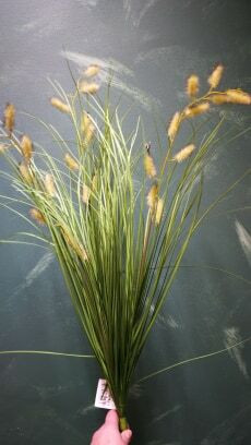 Wild grass