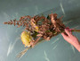 Artificial bouquet Spring