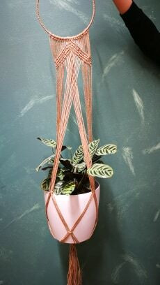 Hanging pot, self watering combo