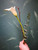 Funeral flowers beach