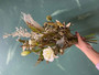 Artificial bouquet Soft