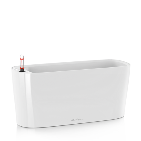 Delta 20