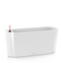Delta 20