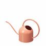 Watering Can Apricot