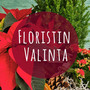 Christmas basket Florist choise