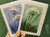 Card  Meadow