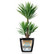 Classico Premium 50cm