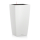 Cuibico Premium all-in 50cm