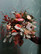 Bouquet colorful