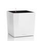 Cube Premium all-in altakasteluruukku 40cm