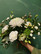 Bouquet Bright