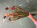 Artificial bouquet Forest