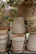 Bergs Potter Simona rosa