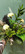 Bouquet Käärijä