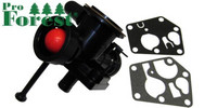 Kaasutin Briggs&Stratton